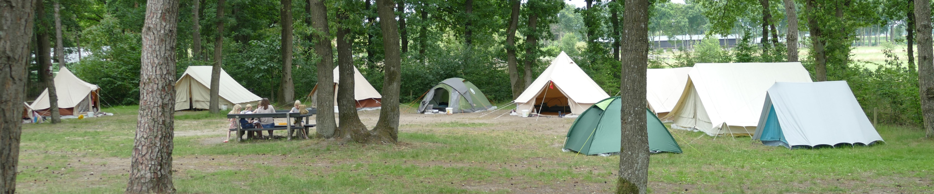 Veelgestelde vragen